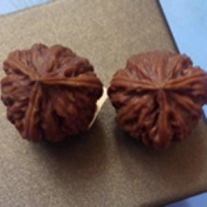 悍马皮卡3
