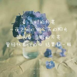 仙颖儿