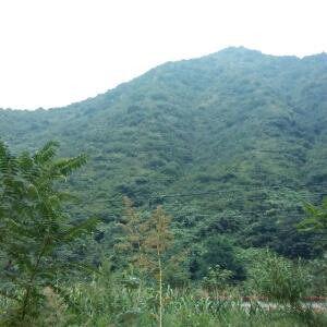 霸天