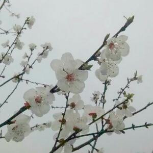 繁空