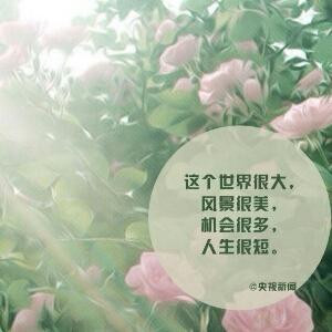 恋尘