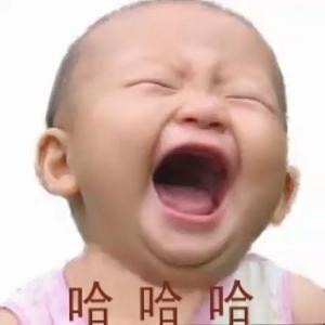 书虫