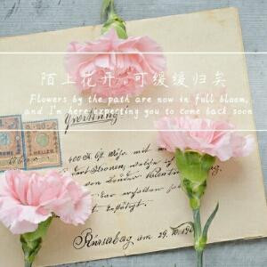 墨染成画的年华