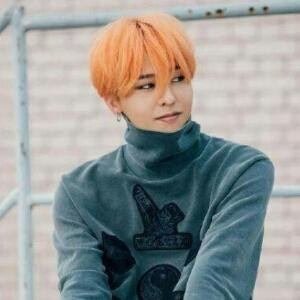 志龙家的权太太