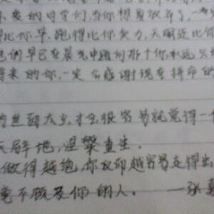 粉红的小猪