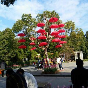 崔舜天妈妈