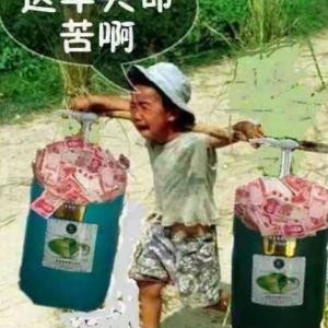 书虫