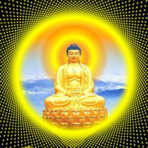 飞天郎君