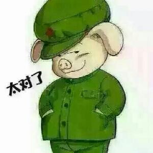 小肥猪