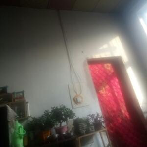 愛你的小朱
