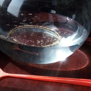 水中的金刚