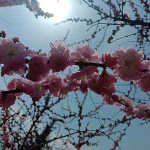 绚烂烟花