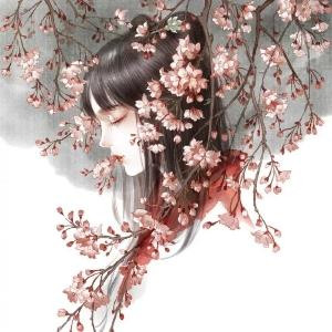 闪电WD君小号