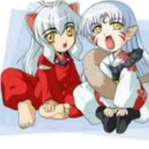 兔子猪的尾巴^ω^