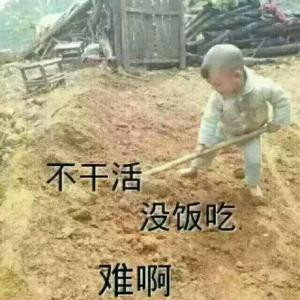 平凡草根