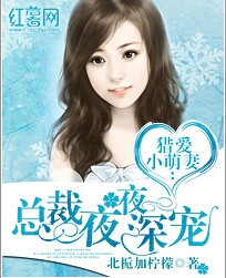 总裁猎爱小萌妻
