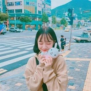 万丛一朵仙女花