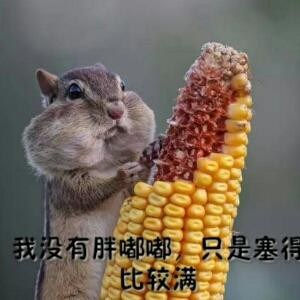 才 非，。