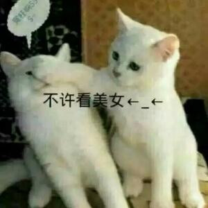 开心