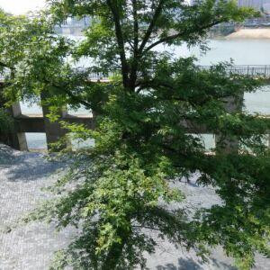 糊途主人