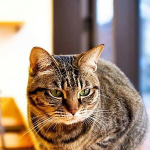 舞动奇迹