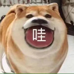 囍囍不是嘻嘻