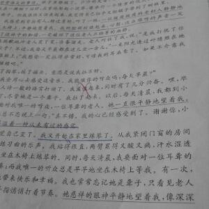 翎歌凤羽