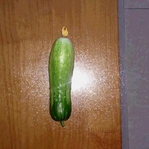 蕉太狼要坚强