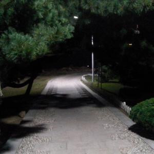有点人味