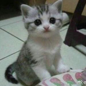 香茗