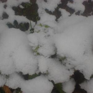 世界角落的孤独