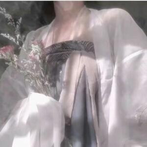 陌上仙九