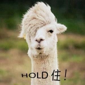 亡命天涯