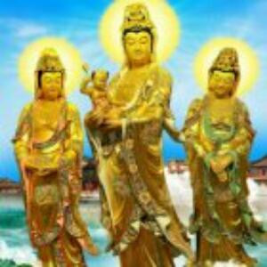 吴泽鹏