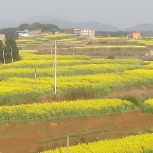 战纪