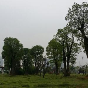 雷池