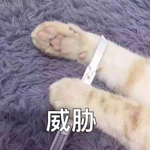 月半