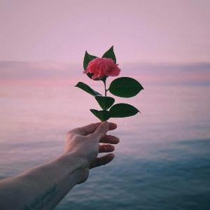 爱吃酸菜鱼的呀