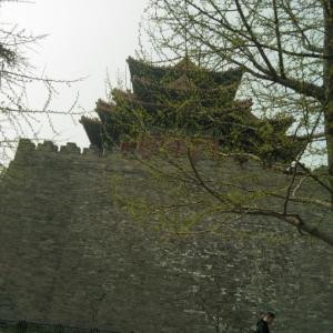 秋波