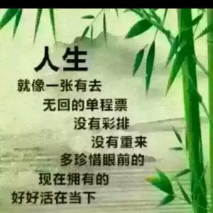 精彩无限