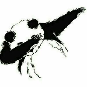 王月半啊