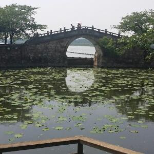 铁杆书虫