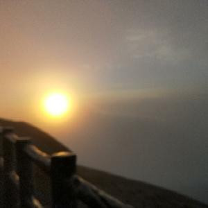 清风拂柳
