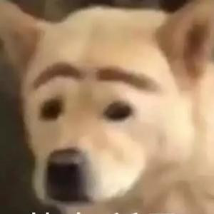 矖默