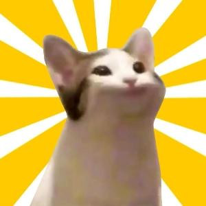 程序喵popo