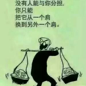 书虫