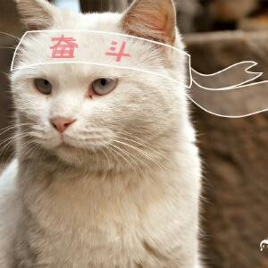 江湖骗子