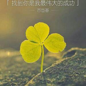 三叶草