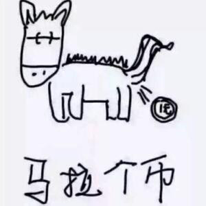 i11****9900