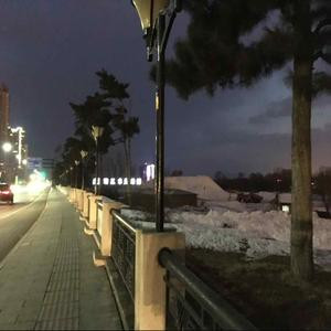 砂的十字架